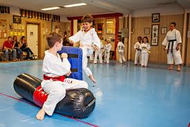 Image result for Hidden Dragon Karate-Do
