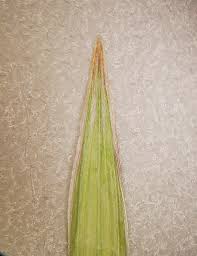 Attēlu rezultāti vaicājumam “Bromopsis inermis fruit”