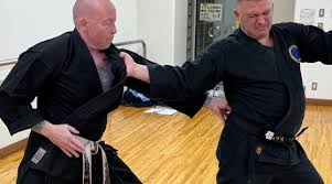 Image result for Inyo Karate Do Ninbukan