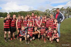 Image result for Pinehurst Netball Club