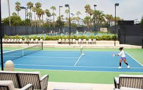 Image result for Henfield Tennis Club