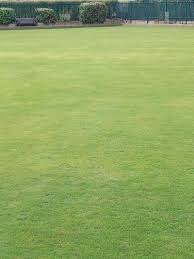 Image result for Barnet Bowls Club