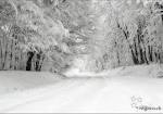 la neige �� Regards de la classe 9Pp2 2010-