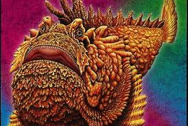 Image result for Chrysoblephus laticeps