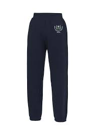 Image result for Bon Accord Thistle Amateur Swimming Club