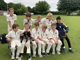 Image result for Odiham & Greywell Cricket Club
