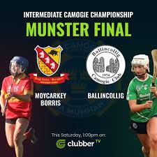 Image result for Moycarkey-Borris Gaa Club