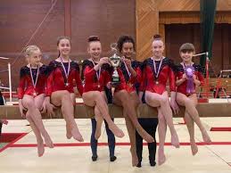 Image result for Tamworth Olympic Gymnastics Club