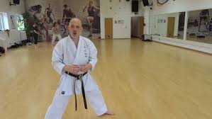 Image result for HEIWA SHOTOKAN KARATE CLUB