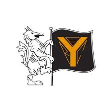 Image result for Yatton R F C