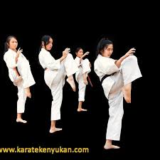 Image result for Ryusui-ryu Martial Arts School East Grinstead