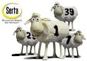 Beds Etc Mattress Store has the Best Buys on Adjustable Beds best ...