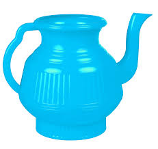 Image result for Lota lota