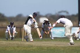 Image result for Wandham Cricket Club