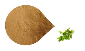 Attēlu rezultāti vaicājumam “Urtica dioica fruit”