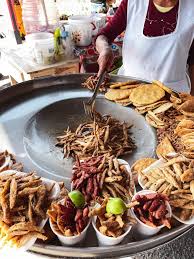 Attēlu rezultāti vaicājumam “Charales”