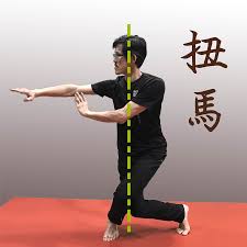 Image result for Tao So Choy Kung Fu Club, Hull