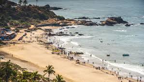 Image result for goa beaches