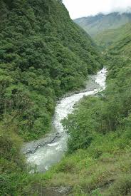 Výsledek obrázku pro yungas