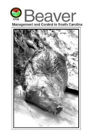 Image result for Beaver Sc