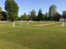 Image result for Falkland Cricket Club
