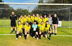 Image result for Warsash Wasps Sports & Football Club