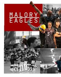 Image result for Malory Eagles volleyball club