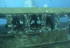 Image result for Guildford British Sub Aqua Club