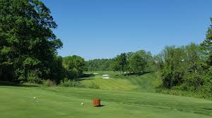 Image result for Fox Gc