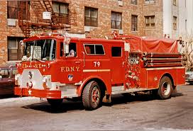 Image result for b%FD%E7ak anatomisi