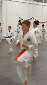 Image result for Surrey Taekwondo