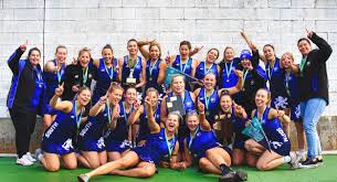Image result for Engineering Services Netball Club