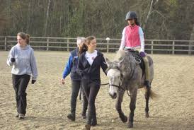 Image result for Riding For The Disabled Association