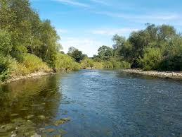 Image result for Wheatley Hill Angling Club