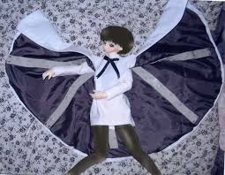 「メリル・ストライフ」の画像検索結果