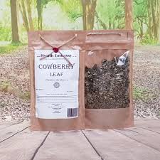 Attēlu rezultāti vaicājumam “Vaccinium vitis-idaea leaf”