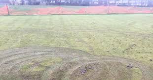 Image result for Benfleet Cricket & Social Club