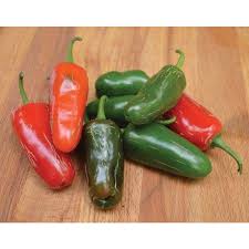 Afbeeldingsresultaat voor jalapeno early hot pepper