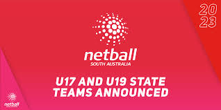 Image result for Thornhill Trojans Dolly Mixtures Netball Team