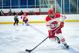 Image result for York University Hockey Club