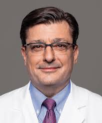 Image result for vogel