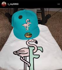 Image result for Flamingo Cricket Club