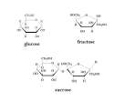 Simple Sugars: Fructose, glucose and sucrose « Lab Cat
