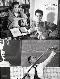 「三島木洋 そふてにっ」の画像検索結果