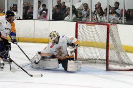 Image result for Chelmsford Chieftains