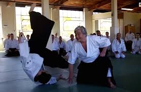 Image result for Durham City Aikikai