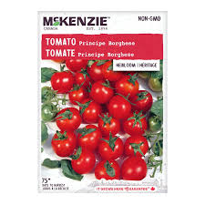 Afbeeldingsresultaat voor principe borghese tomato