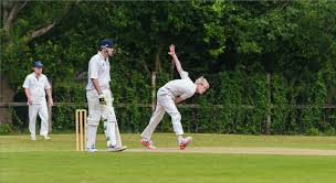 Image result for Bilton Cricket Club