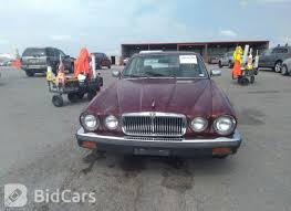 Image result for Claret 1983 Jaguar
