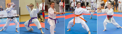 Image result for Tsunami Karate Club